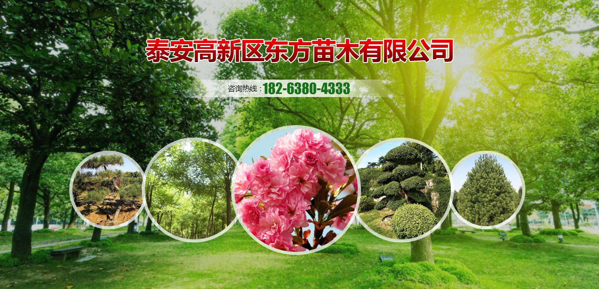 泰安海蘭德太陽(yáng)能有限公司