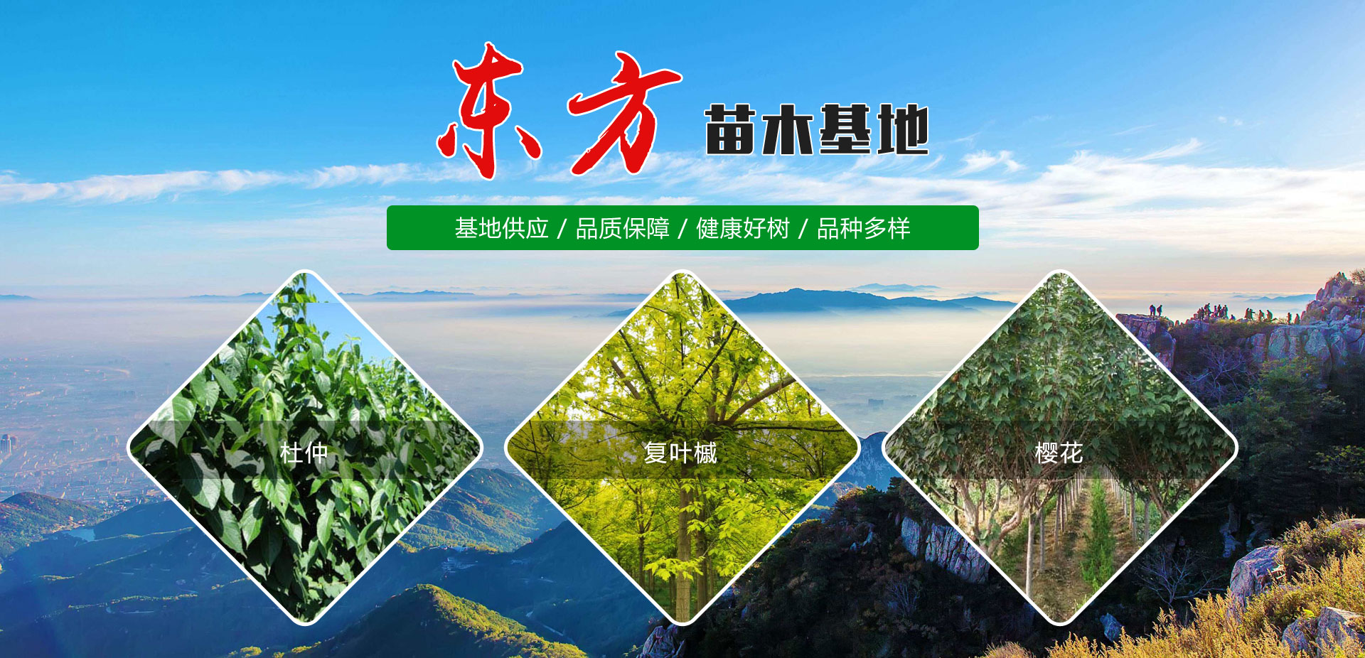 泰安海蘭德太陽(yáng)能有限公司